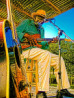 Willie Green